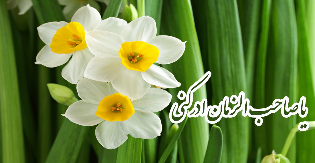 اللَّهُمَّ عَجِّـلْ لِوَلِيِّكَ الفـَـرَجْ